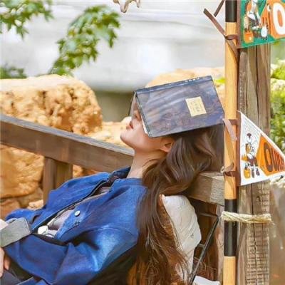 通感画家威廉明娜