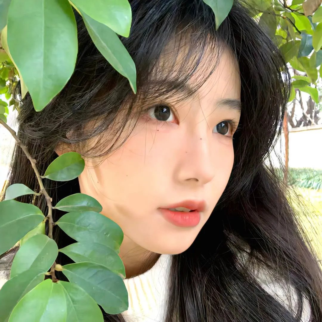 沸腾人生